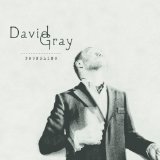 Cover Art for "Only The Wine" by David Gray