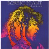 Cover Art for "Tie Dye On The Highway" by Robert Plant