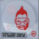 Cover Art for "Ice Hockey Hair" by Super Furry Animals