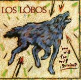 Cover Art for "Don't Worry Baby" by Los Lobos
