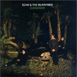 Cover Art for "Nothing Lasts Forever" by Echo & The Bunnymen