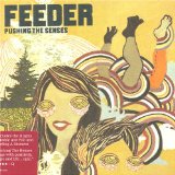 Cover Art for "Bitter Glass" by Feeder