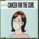 Carátula para "Everything's Gonna Be Cool This Christmas" por Eels