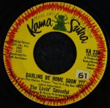Cover Art for "Darling, Be Home Soon" by The Lovin' Spoonful