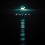 Abdeckung für "No One's Gonna Love You" von Band Of Horses