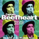 Cover Art for "I'm Glad" by Captain Beefheart