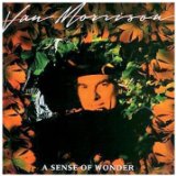 Van Morrison A Sense Of Wonder cover art