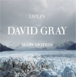 Cover Art for "Slow Motion" by David Gray