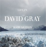 Cover Art for "Alibi" by David Gray