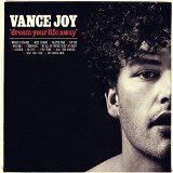 Cover Art for "Fire And The Flood" by Vance Joy