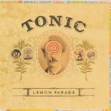 Carátula para "If You Could Only See" por Tonic