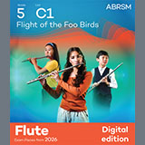 Cover Art for "Flight of the Foo Birds (Grade 5, list C1, from the ABRSM Flute Syllabus from 2026)" by Neal Hefti