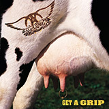 Cover Art for "Line Up" by Aerosmith