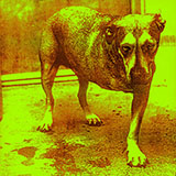 Cover Art for "Nothin' Song" by Alice In Chains