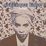 Cover Art for "Never Know" by Angelique Kidjo