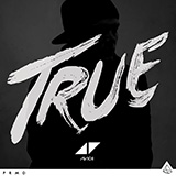 Cover Art for "Hey Brother" by Avicii
