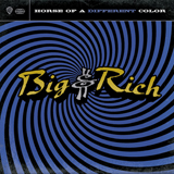 Cover Art for "Save A Horse (Ride A Cowboy)" by Big & Rich