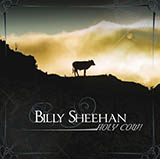 Cover Art for "Dynamic Exhilarator" by Billy Sheehan