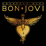 Cover Art for "What Do You Got?" by Bon Jovi