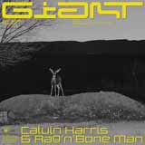 Calvin Harris & Rag'n'Bone Man Giant arte de la cubierta