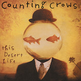 Cover Art for "Colorblind" by Counting Crows