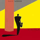 Cover Art for "Rain On Christmas" by David Sanborn