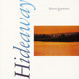 Cover Art for "Carly's Song" by David Sanborn