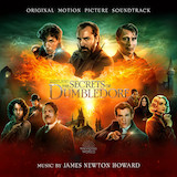 James Newton Howard - The Ceremony (from Fantastic Beasts: The Secrets Of Dumbledore)