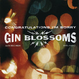 Cover Art for "Follow You Down" by Gin Blossoms