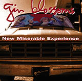Cover Art for "Hey Jealousy" by Gin Blossoms