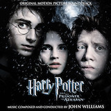 John Williams - A Winter's Spell (from Harry Potter)