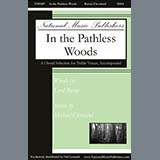 Cover Art for "In The Pathless Woods" by Michael Cleveland