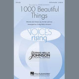 Cover Art for "1000 Beautiful Things" by Craig Hella Johnson