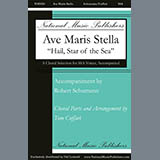 Cover Art for "Ave Maris Stella" by Tom Cuffari