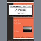 Cecil Effinger A Prairie Sunset l'art de couverture