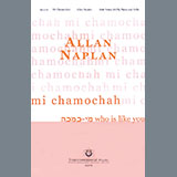Cover Art for "Mi Chamochah (Who Is Like You)" by Allan Naplan