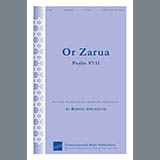 Abdeckung für "Or Zarua" von Robert Applebaum