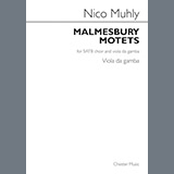 Couverture pour "Malmesbury Motets - Viola de Gamba" par Nico Muhly