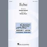 Abdeckung für "Echo" von Bethany Meyer