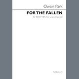 Carátula para "For The Fallen" por Owain Park