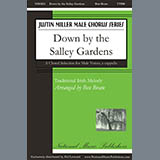 Cover Art for "Down By The Salley Gardens" by Ben Bram