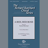 Cover Art for "A Red, Red Rose" by Richard Burchard