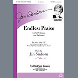 Cover Art for "Endless Praise" by Jan Sanborn