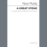Nico Muhly - A Great Stone