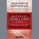 Cover Art for "Vaghissima Sembianza (arr. Samuel Baker)" by Albert Donaudy & Stefano Donaudy