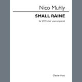 Nico Muhly - Small Raine