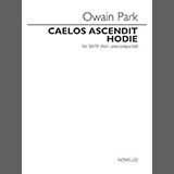 Cover Art for "Caelos Ascendit Hodie" by Owain Park