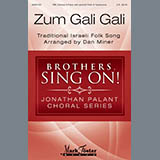 Abdeckung für "Zum Gali Gali - Clarinet" von Dan Miner