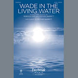 Cover Art for "Wade in the Living Water" by Michael Barrett