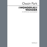 Cover Art for "I Wonder as I Wander" by Owain Park